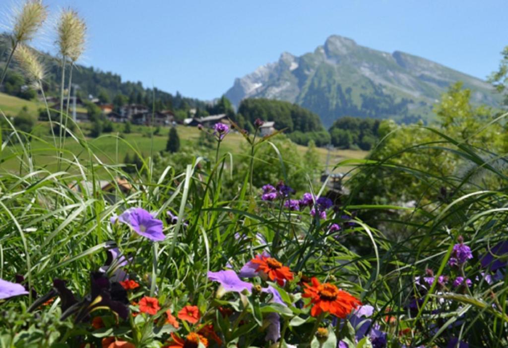 Location D'Appartements - La Residence Clusaz Zewnętrze zdjęcie
