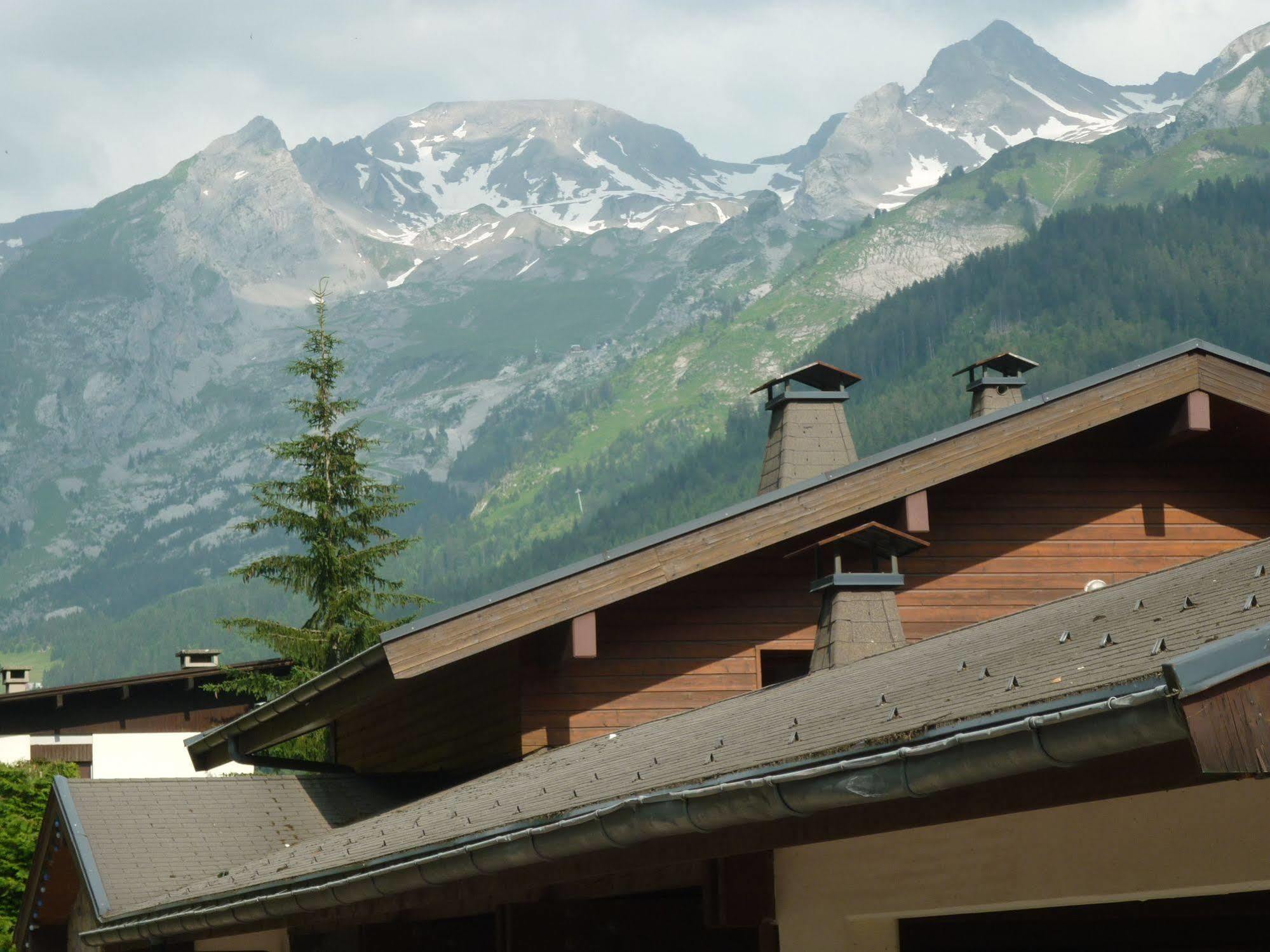 Location D'Appartements - La Residence Clusaz Zewnętrze zdjęcie